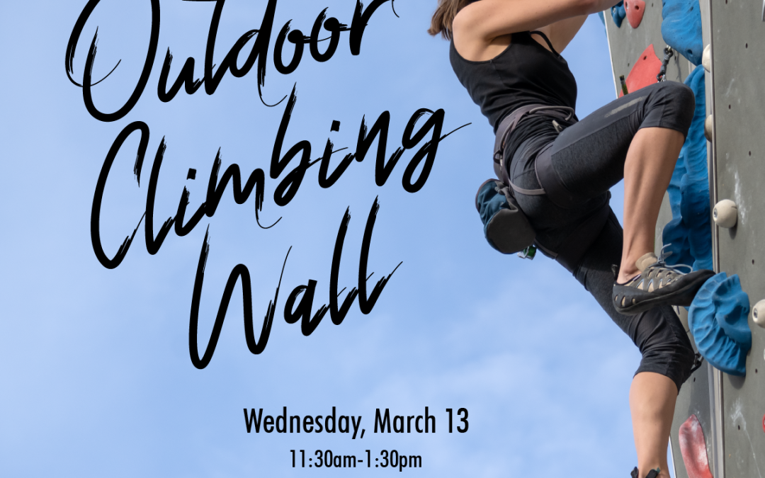 Outdoor Climbing Wall
