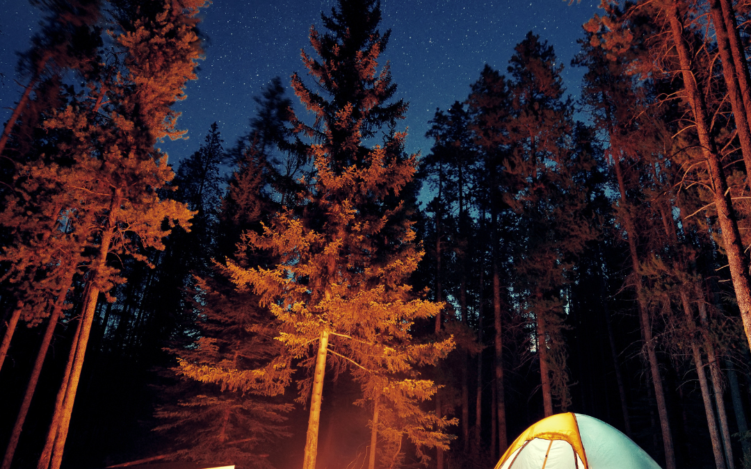 Camping at Joshua Tree