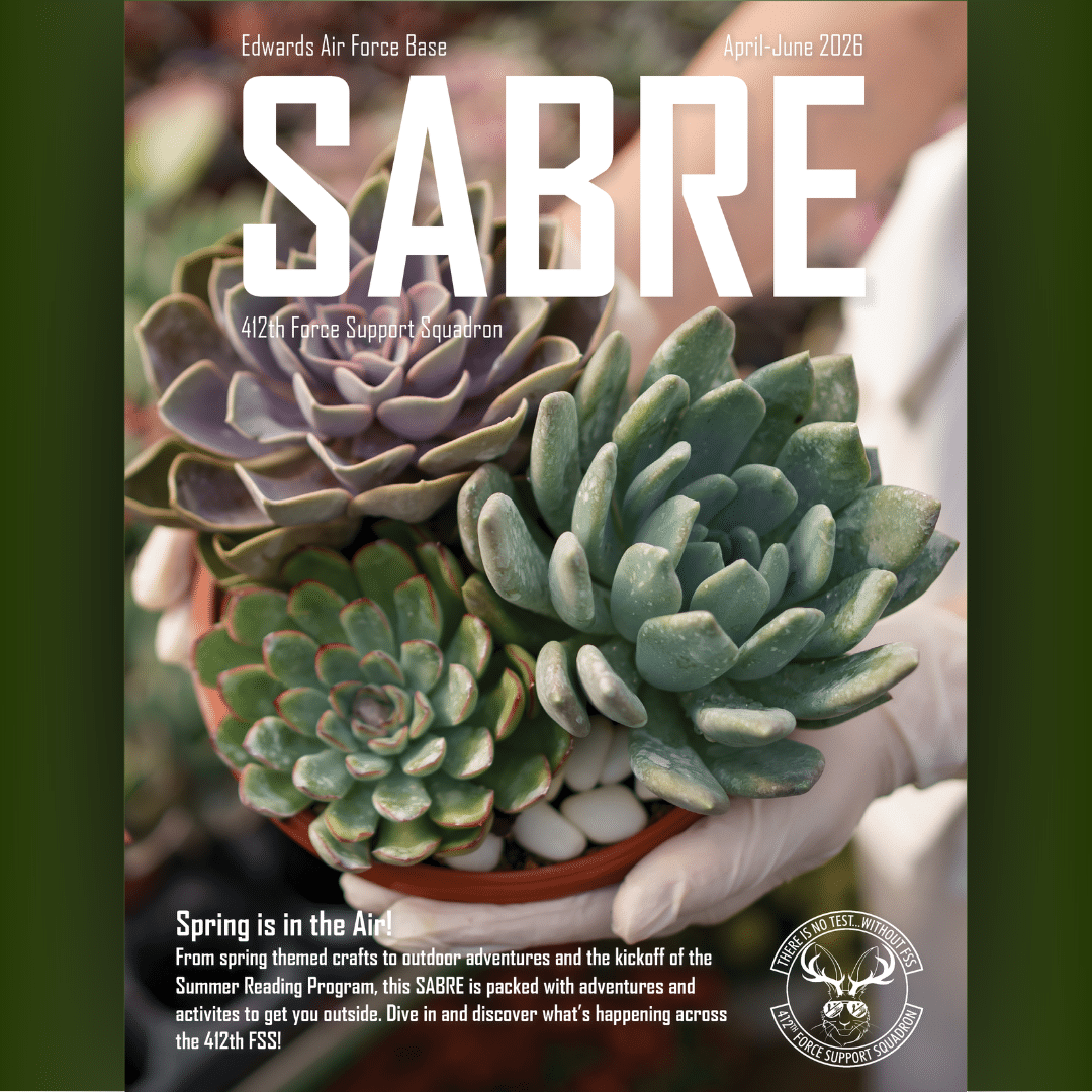 Sabre Magazine Image